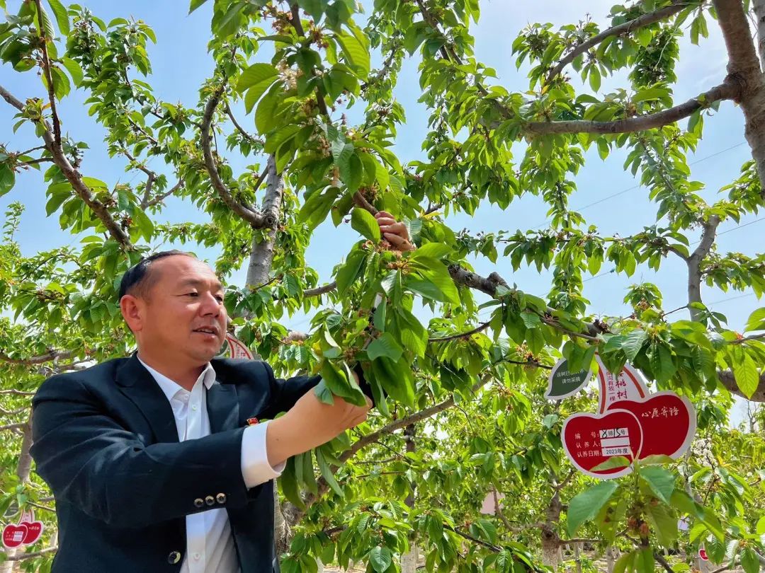 南沟村：挑起农业现代化“金扁担”