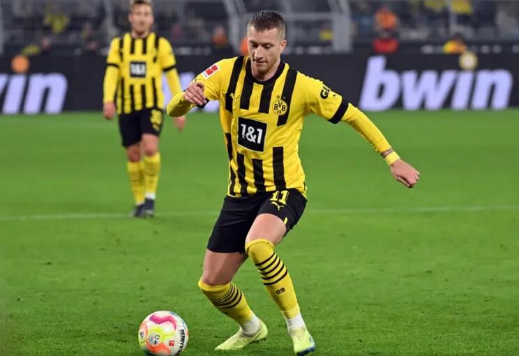 罗伊斯因伤无缘欧洲杯,罗伊斯无缘世界杯大名单