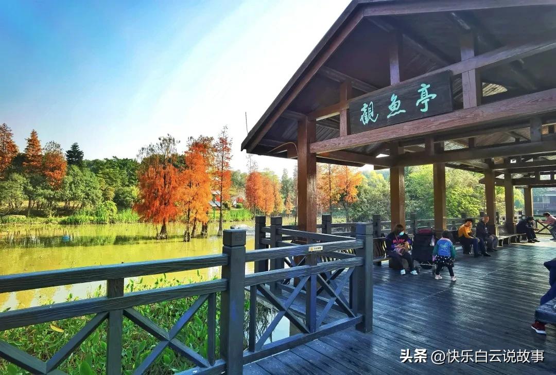 11月12日，广州市海珠区疫情消息，三点薄见浅析海珠区疫情（一）