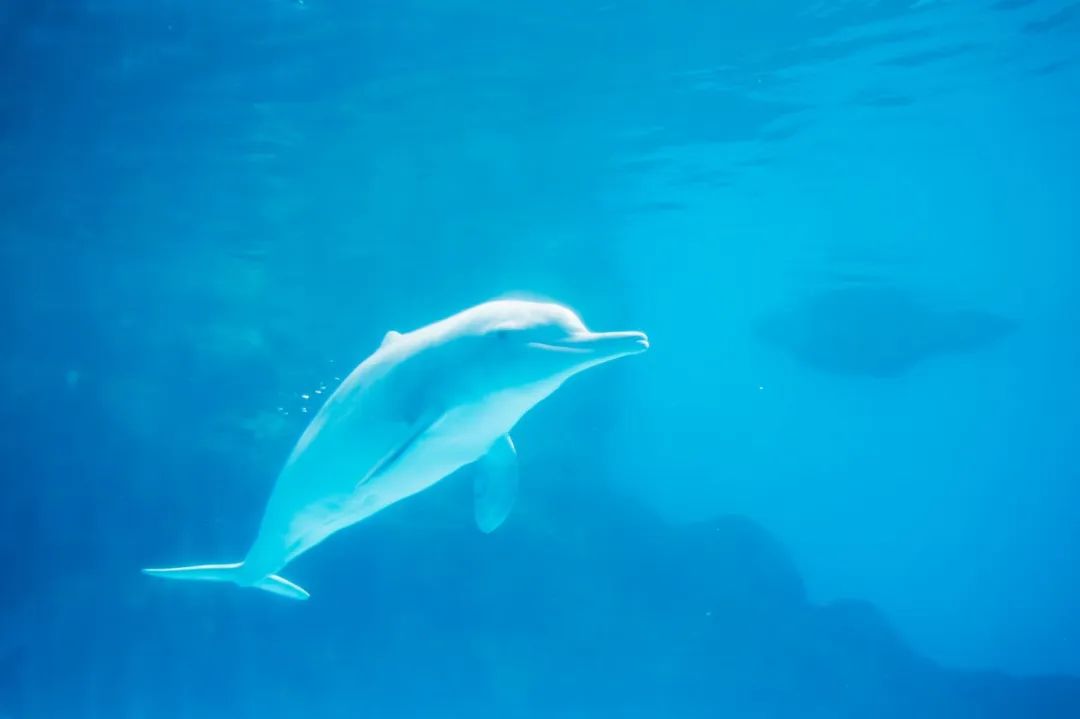 这座海滨小城可真美丽,小众旅行海边小城市