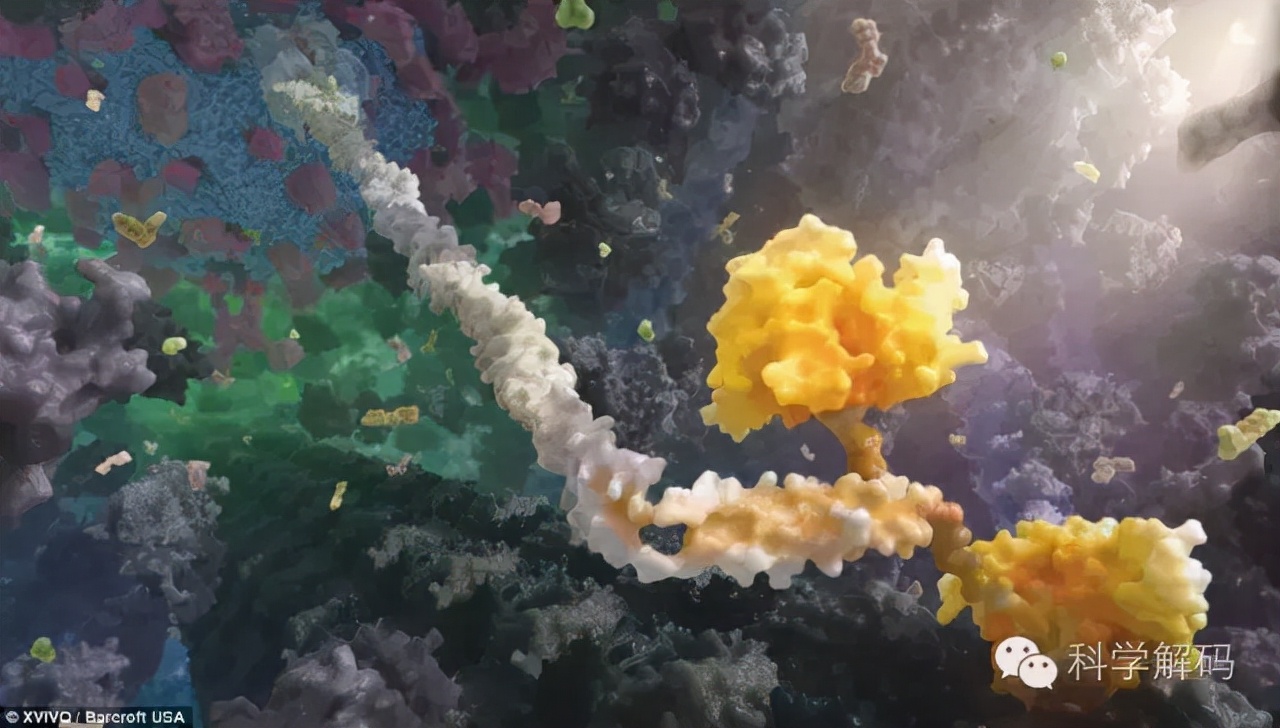 生命体内的微观世界,一滴水放大10000倍后的微观世界