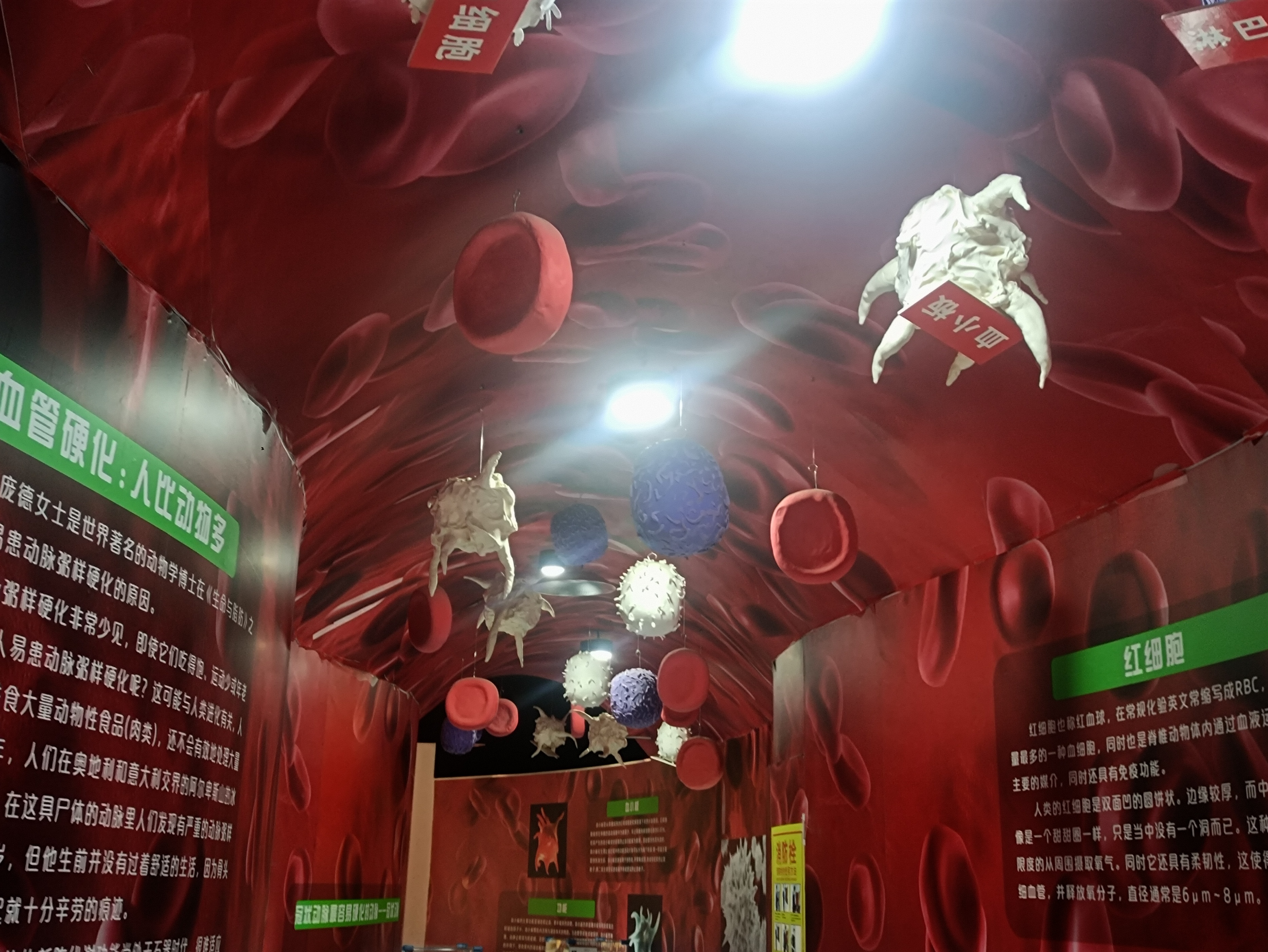 閮戝窞鍛ㄨ竟閫傚悎鏄ュぉ鍘荤殑鍦版柟,閮戝窞鏄ュぉ鏈夊摢浜涘ソ鐜╃殑鍦版柟