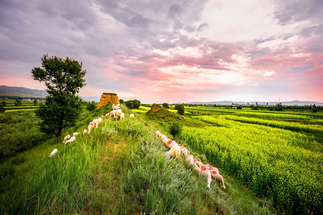 迎接党的20大美术作品,喜迎二十大乡村摄影展