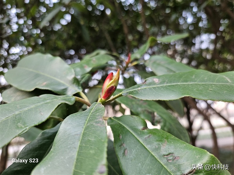 三星GalaxyS23+评测视频,三星galaxys23真实测评