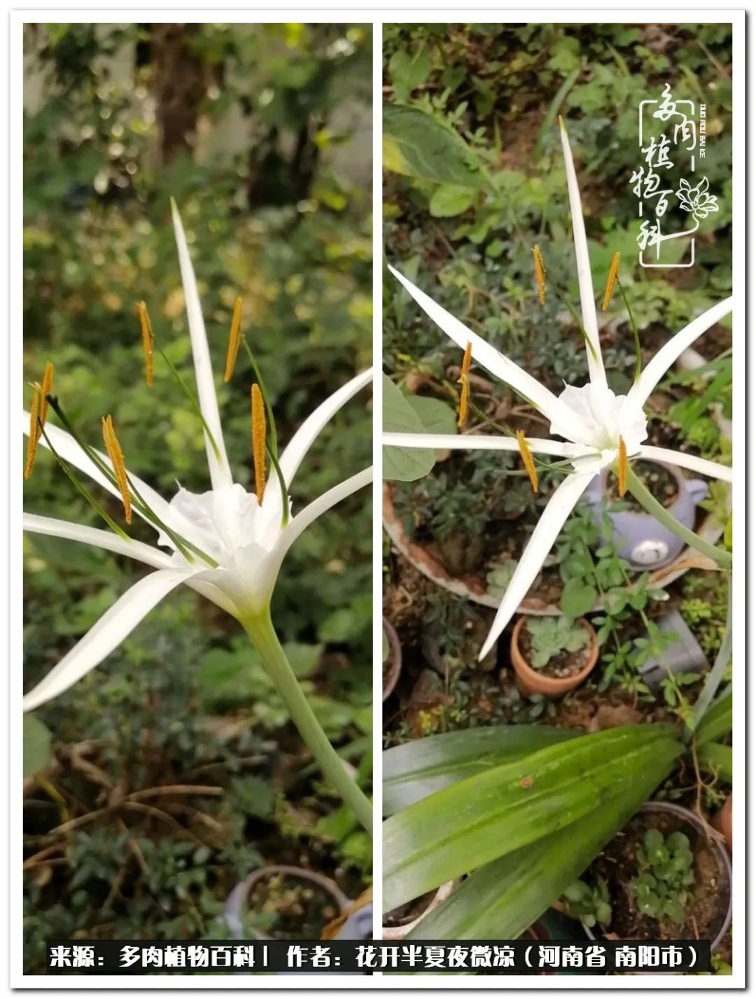 万事开头难只要坚持才有收获,万事开头难只要肯干就会有结果