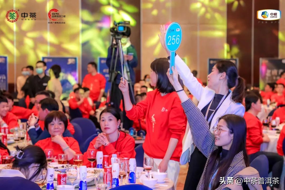 中茶普洱茶经销商信息大会,中茶2024年经销商大会