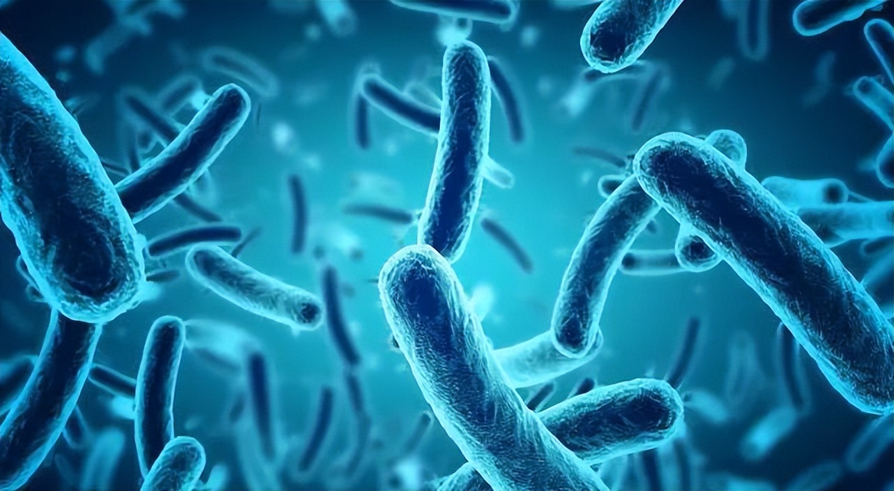 55女子确诊外阴癌，她的坏习惯为所有人敲响警钟，值得借鉴