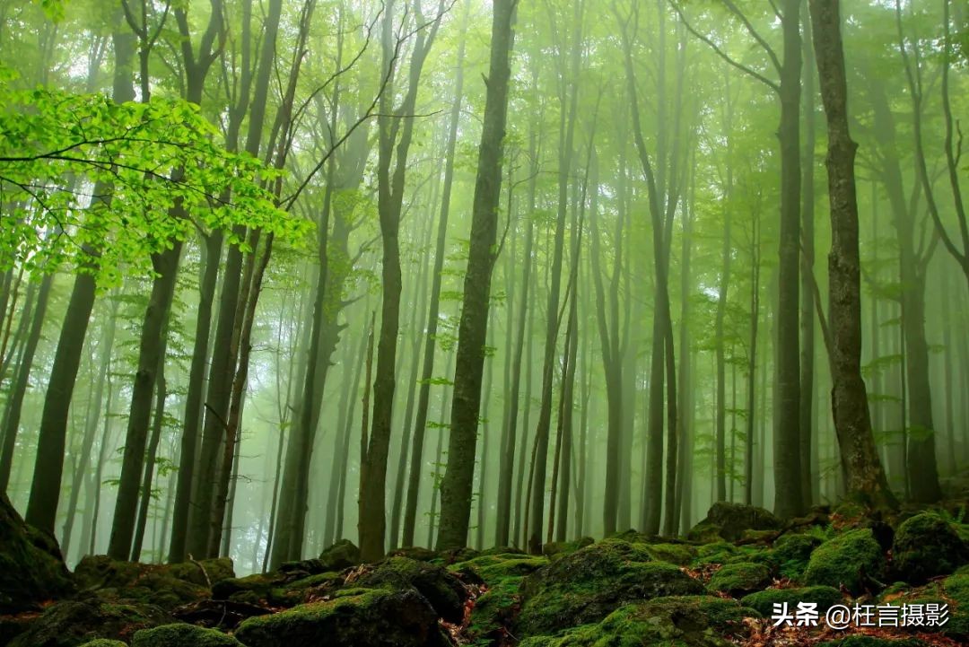 最珍贵的乌克兰遗产 (乌克兰到底有哪些世界文化遗产)