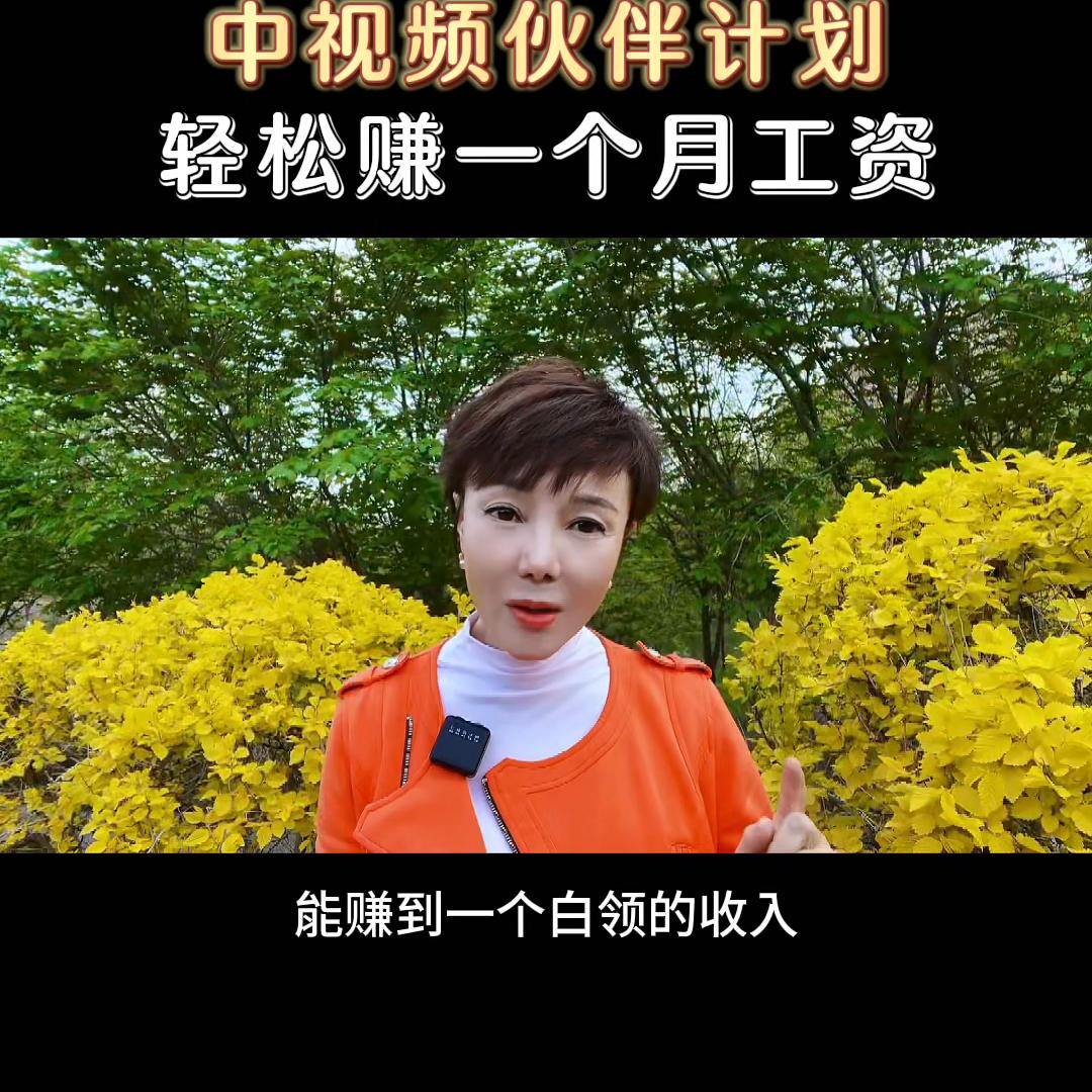 参加中视频伙伴计划，轻松赚一个月工资@DOU+小助手