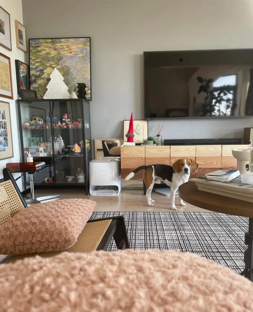 河南女主晒出130㎡新家：全屋没有一丝俗气，堪称装修教科书