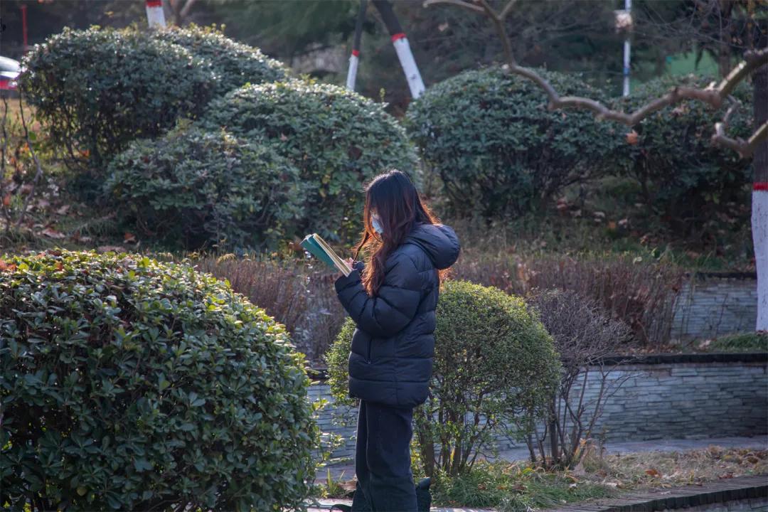 愿你以梦为马不负韶华考上大学,愿同学们以梦为马金榜题名