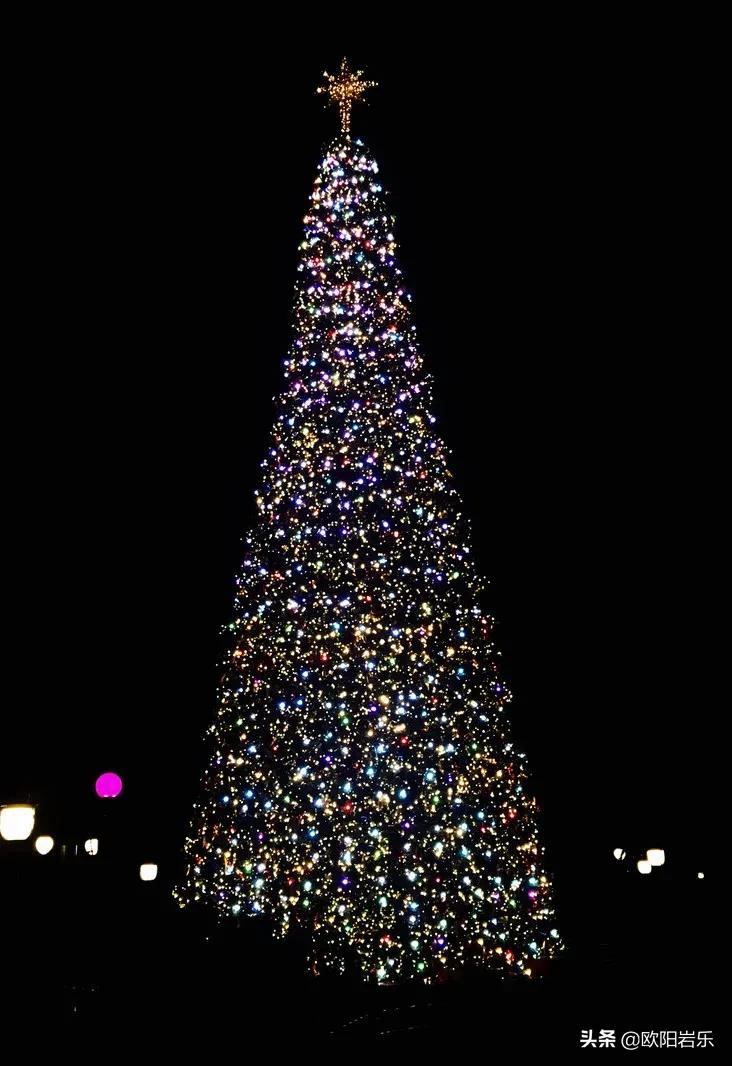 圣诞节好去处国外游,圣诞节推荐去什么地方玩