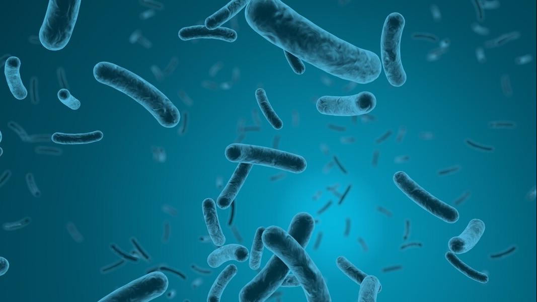 女性身体有异味是什么原因引起的,女生有一股异味是怎么回事