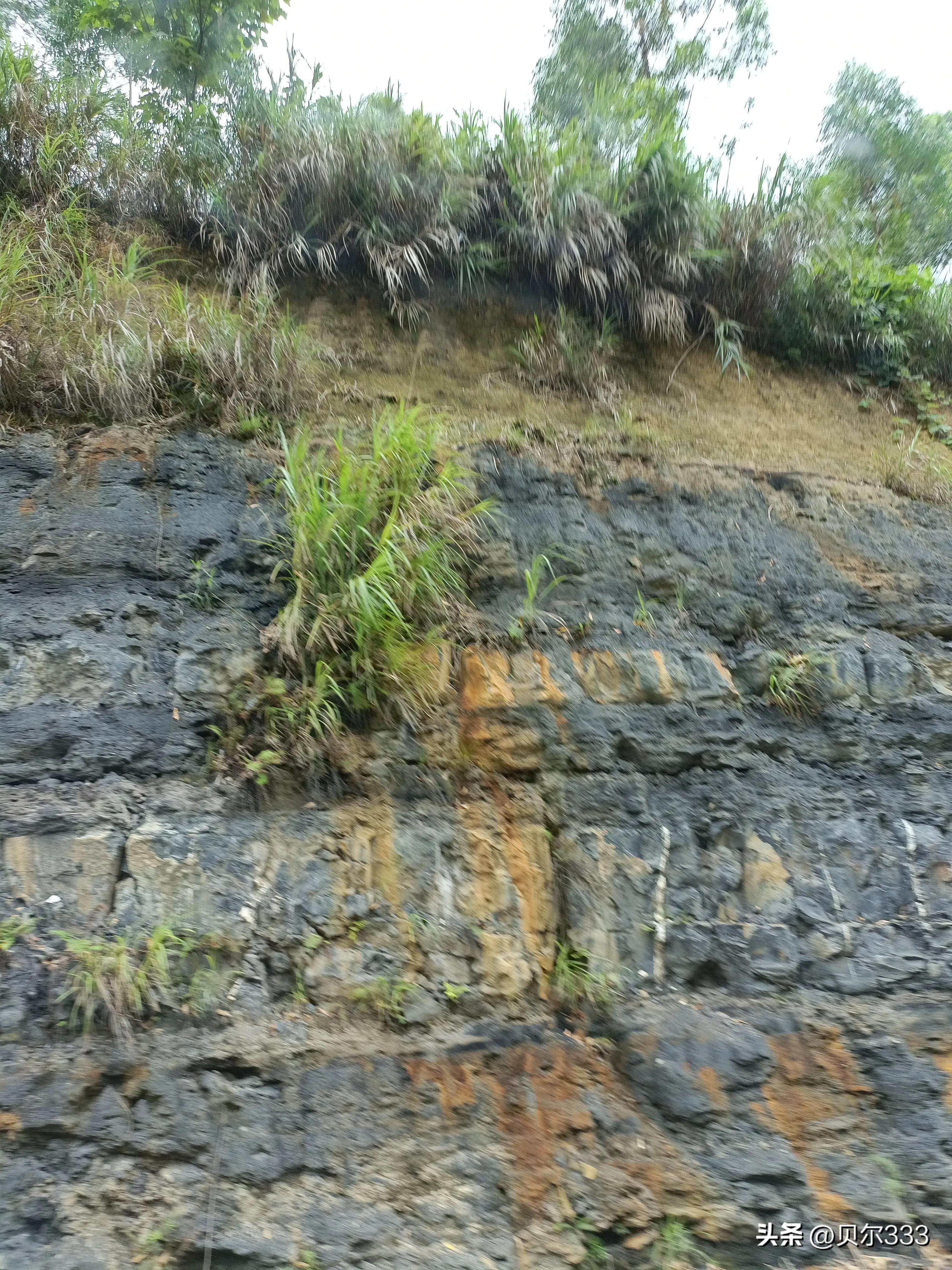 学会四个技能成就自己,学会这五个技能你就会变得有钱