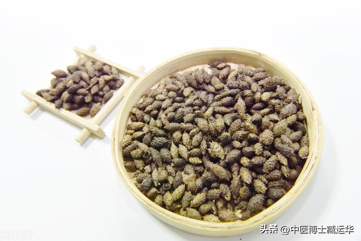 苍耳中药的作用,苍耳子中草药