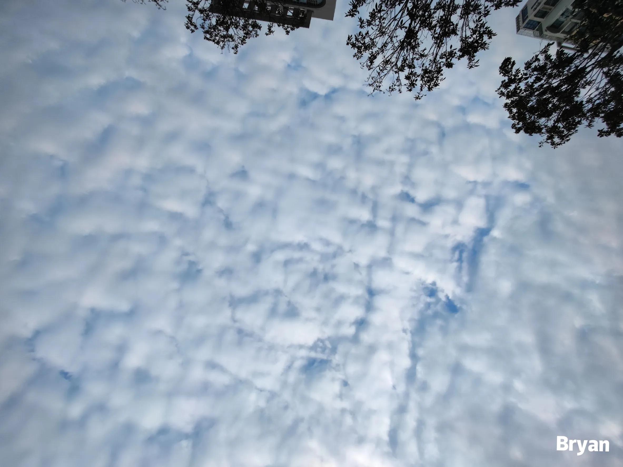 蛇口海上旅游,蛇口海上游深圳