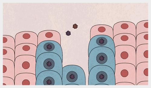 朊病毒致死率100%!无药可救烹煮杀不死，感染后到底有多恐怖？