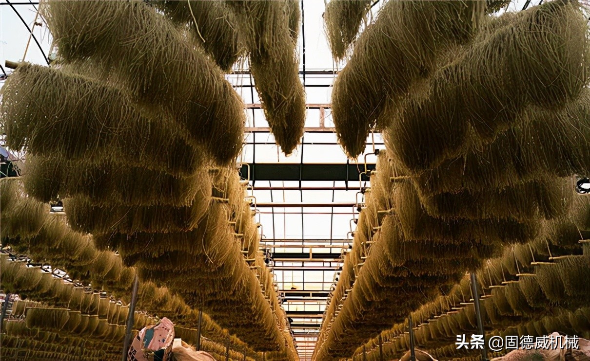 自带烘干的红薯粉条机,快速生产红薯粉条机