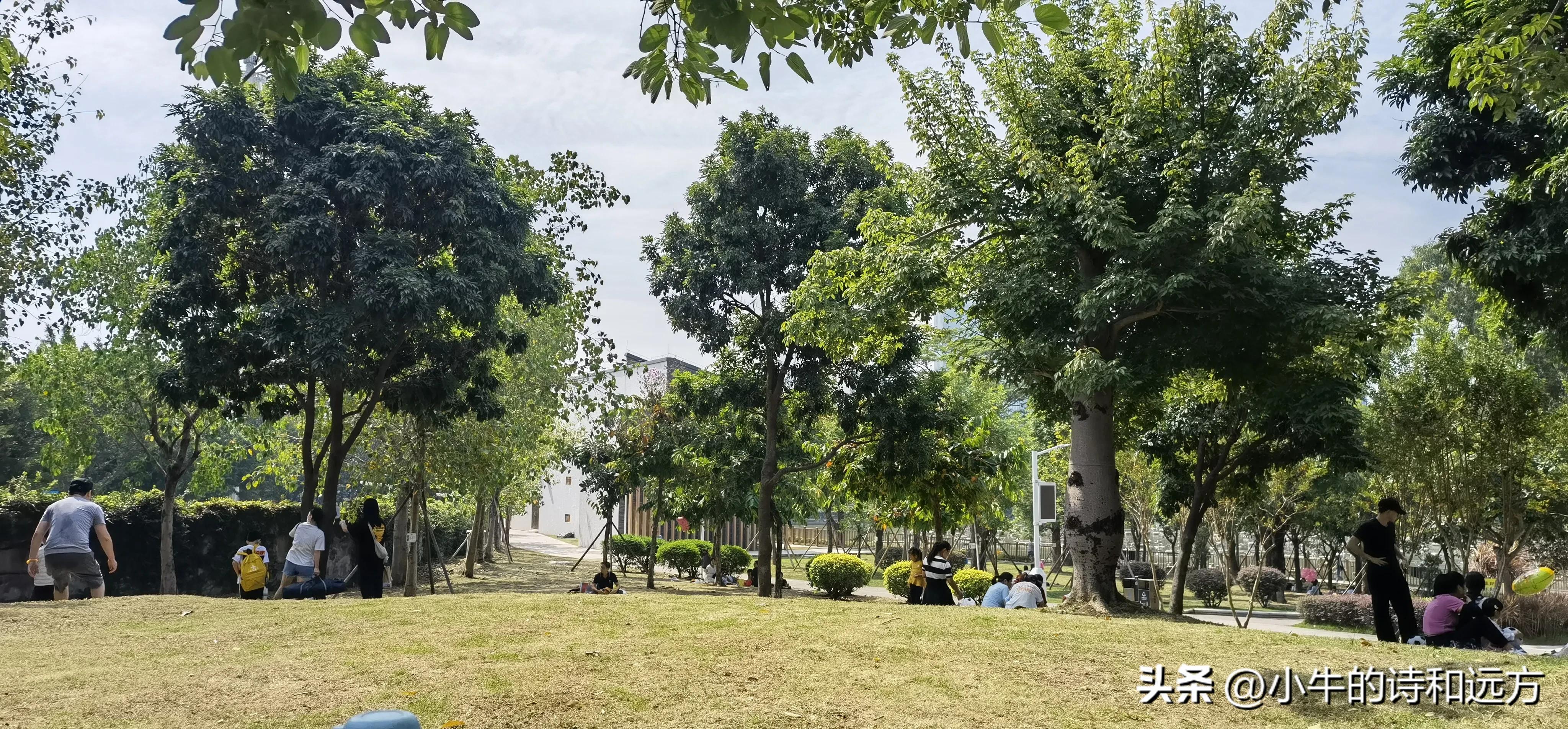 溜娃好去处就在紫谷萌宠乐园,青龙湖湿地公园遛娃攻略