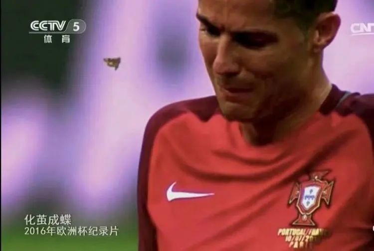 欧洲杯央视直播解说朱晓雨,知名解说员朱晓雨