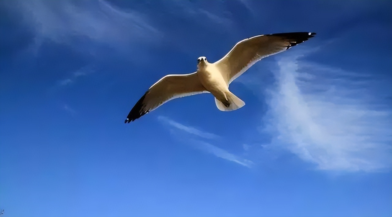 把梳子卖给和尚的故事是个伪命题,把梳子卖给和尚到底是对还是错