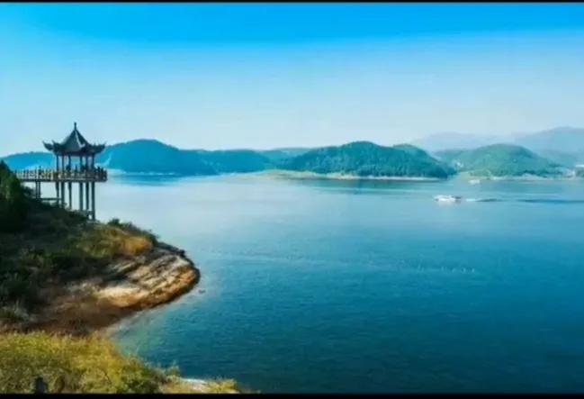 顾太健最新文章,顾太健视频