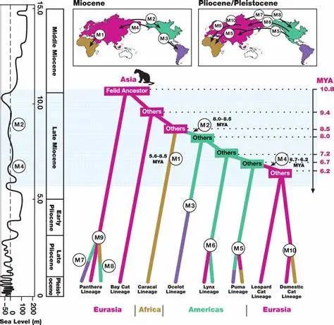 虎年的虎：我从哪里来，要到哪里去？