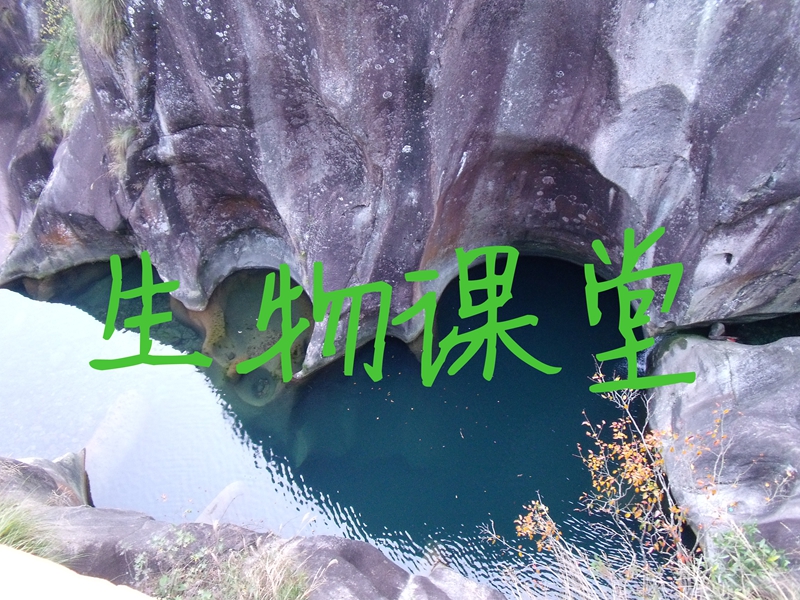 2023八年级上册生物必背考点归纳,2022八年级生物地理会考重点