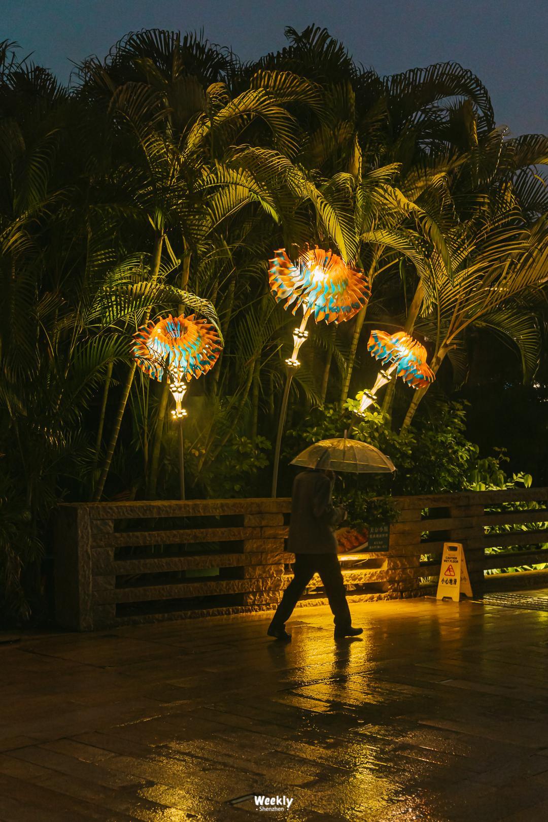 深圳欢乐谷游乐园,深圳十大必去游乐园