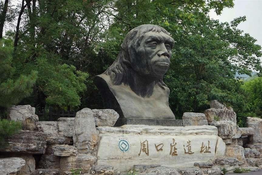 北京印象青年派线上总店,北京印象东坡居餐饮管理有限公司