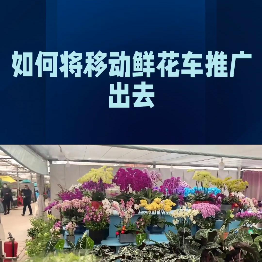 最流行的流动摆摊车,流动小车摆地摊卖什么好