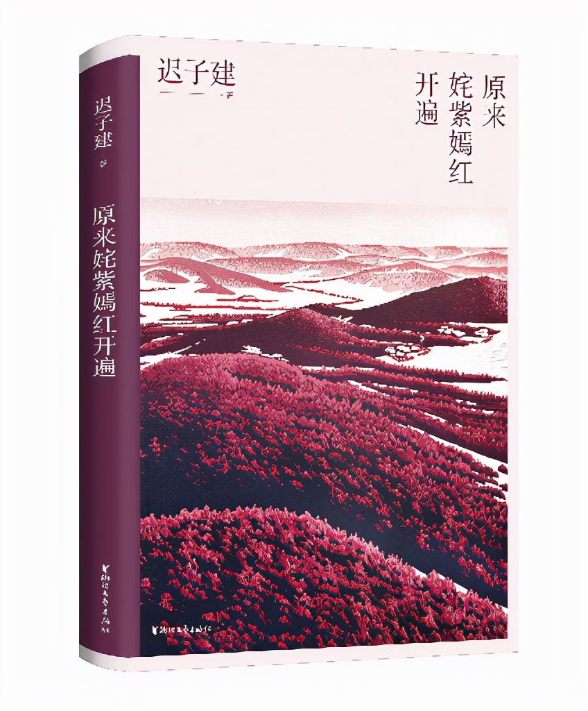 迟子建落在岁月里的温暖,迟子建小说的爱的主题
