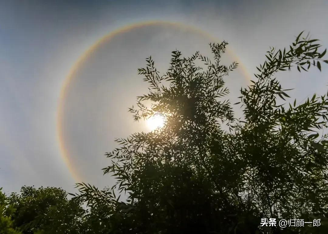 一级竞钓大师是怎么来的,八个特级竞钓大师的技术特点