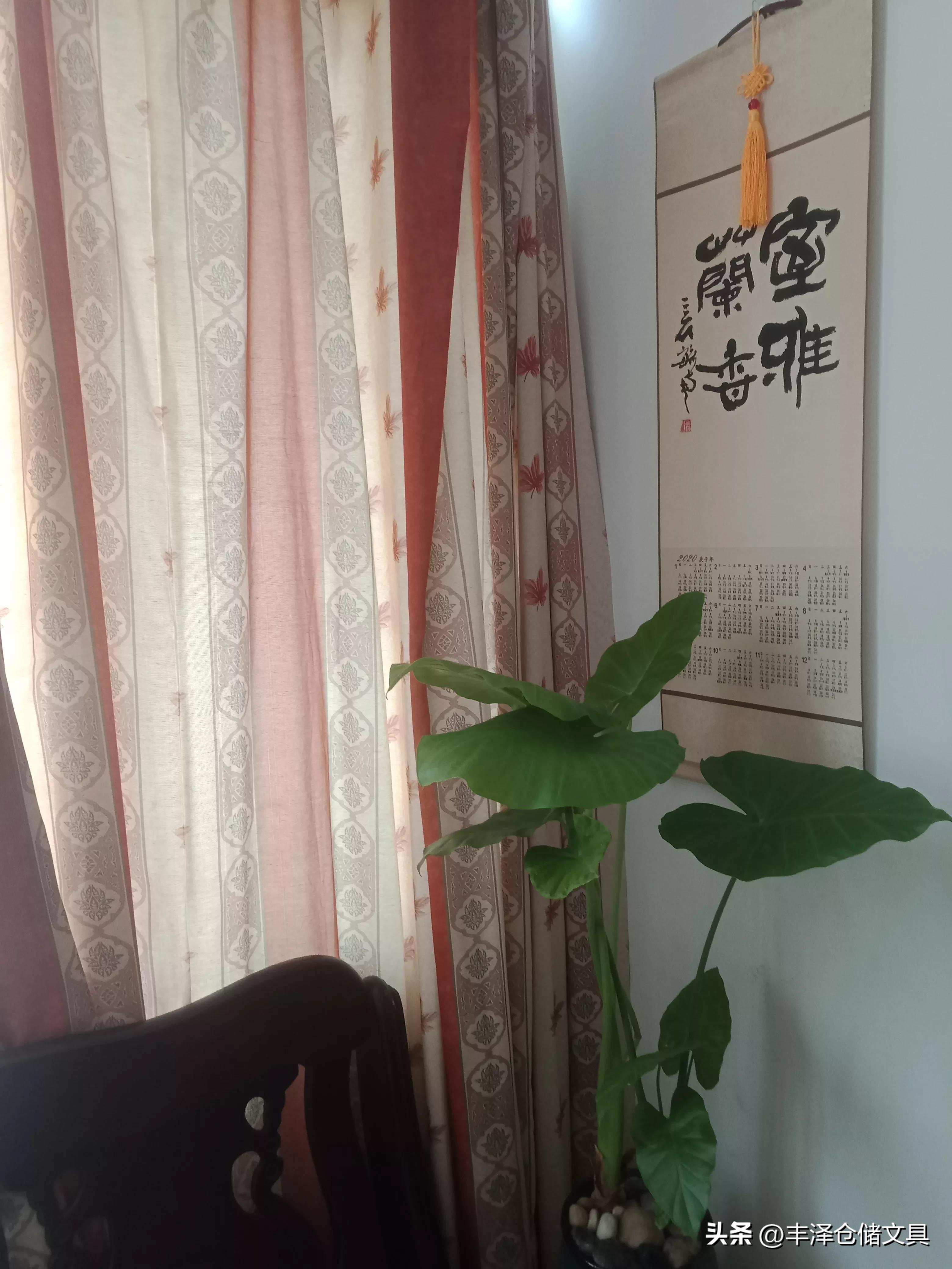 其实有时候你需要的是不离不弃,不离不弃的另外一种表达方式