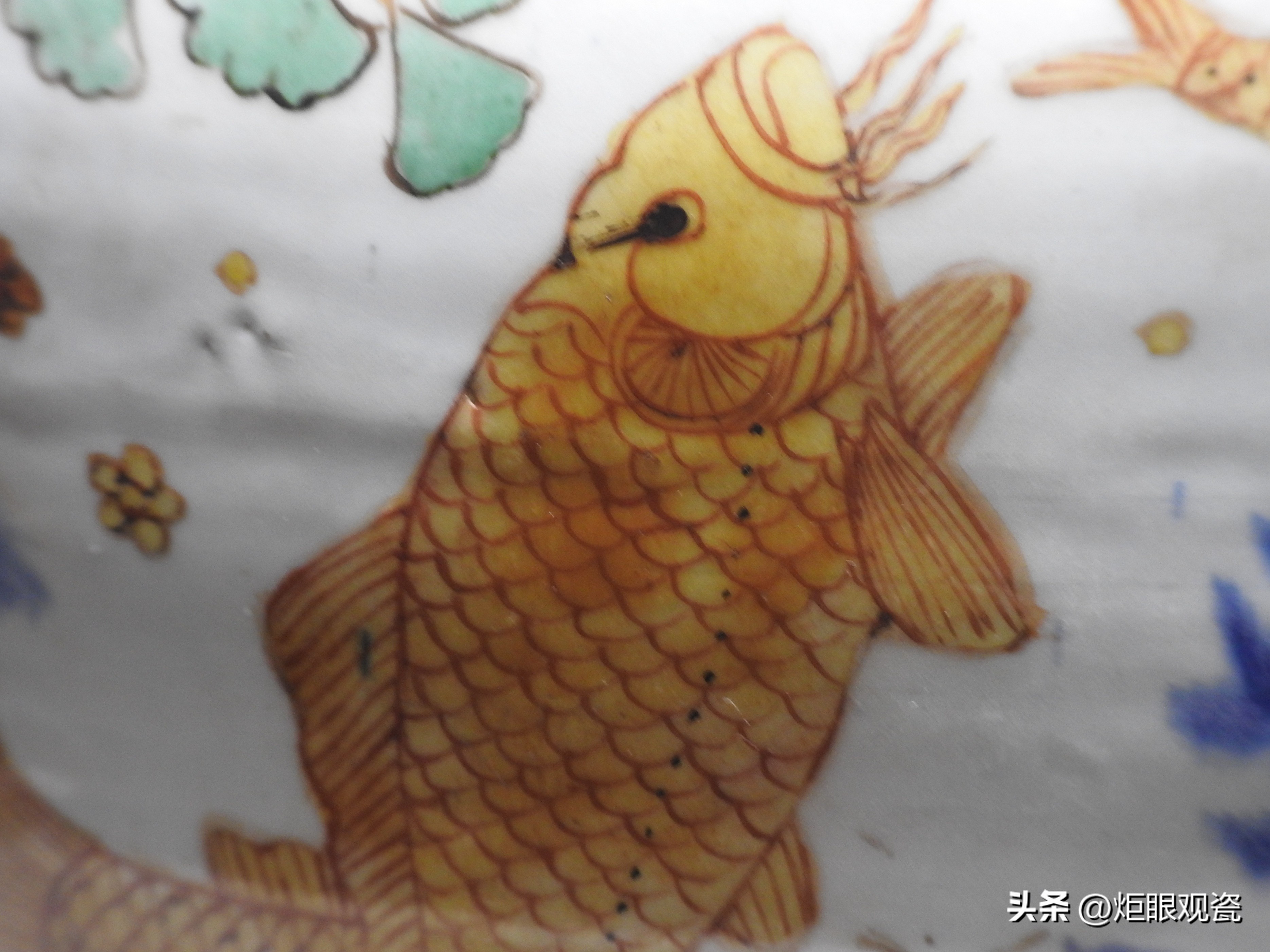 鱼乐其中——细观嘉靖五彩鱼藻纹罐的黄上红、翡翠绿、回石青