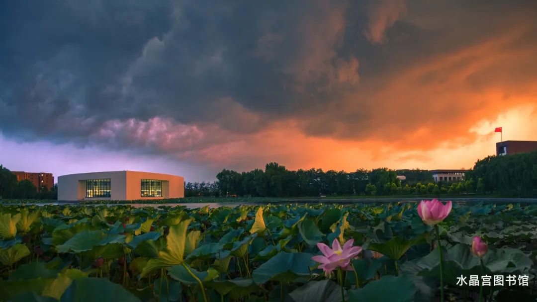 沈阳城市学院2023,沈阳城市学院2022年招多少人