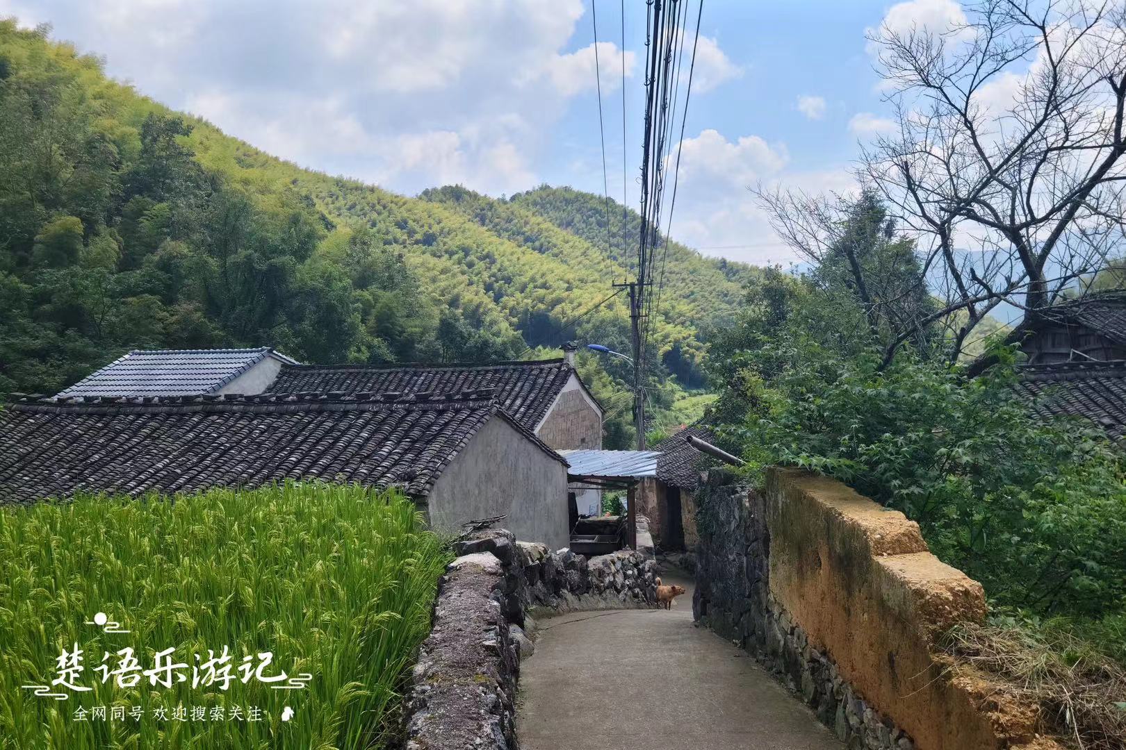 浙江隐藏最深的古村,浙江被遗忘的古村落