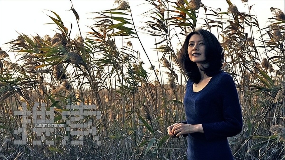 陈凯歌网络暴力的电影,陈凯歌讲述网络暴力的电影