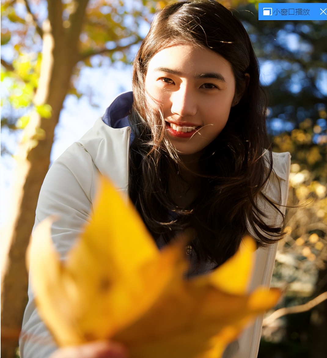 体坛十大美女颜值天花板,颜值巅峰的体坛女神