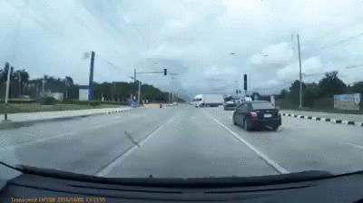 真实大象的照片,在野外拍到的真实大象