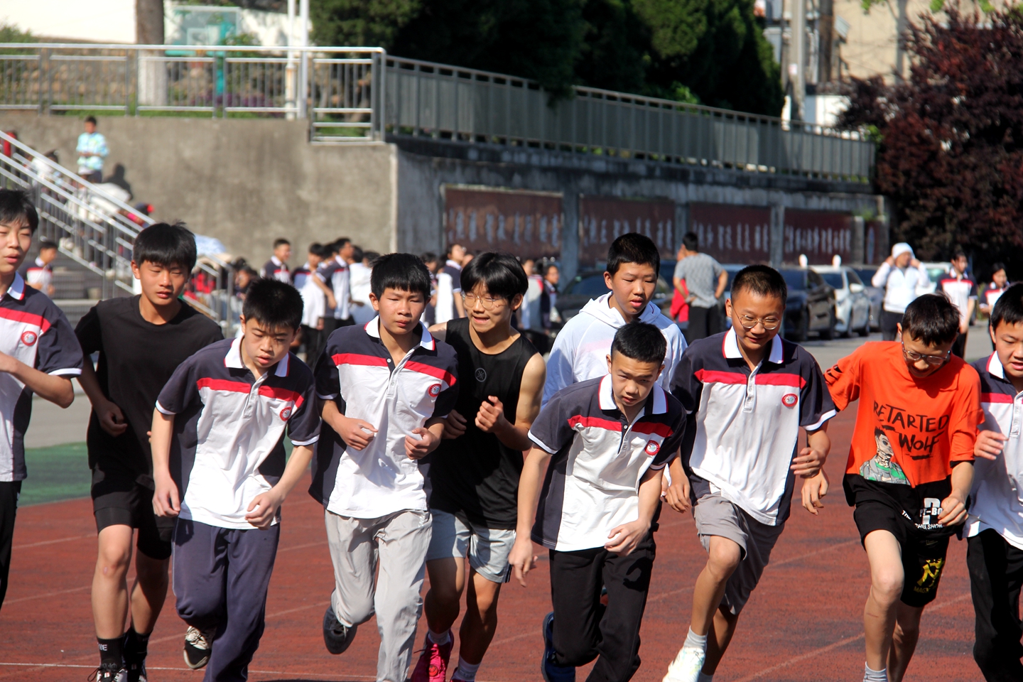 学校春季运动会活动,学校春季运动会活动报道