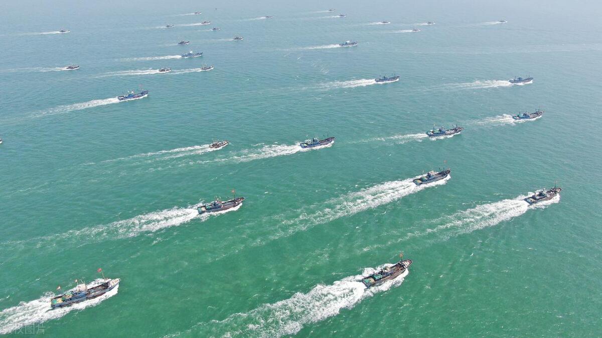 上海仅有一所军校，虽是第二军医，但医疗教学实力是上海滩扛把子