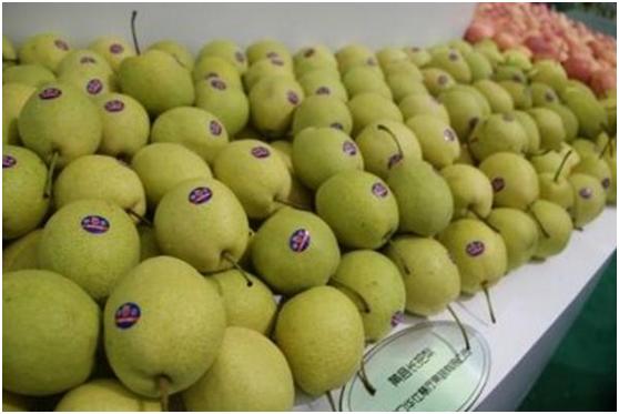 梨是百果之王吗,百果之宗—梨