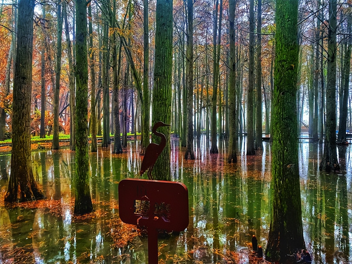 在江苏的“绿林仙海”中，寻找侠气与柔情