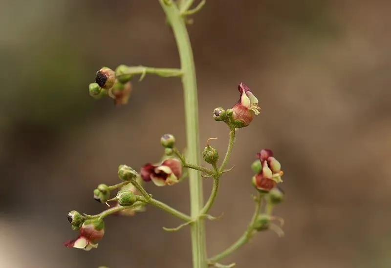 给你全部的温情与热爱,想给你全部的温情和热爱