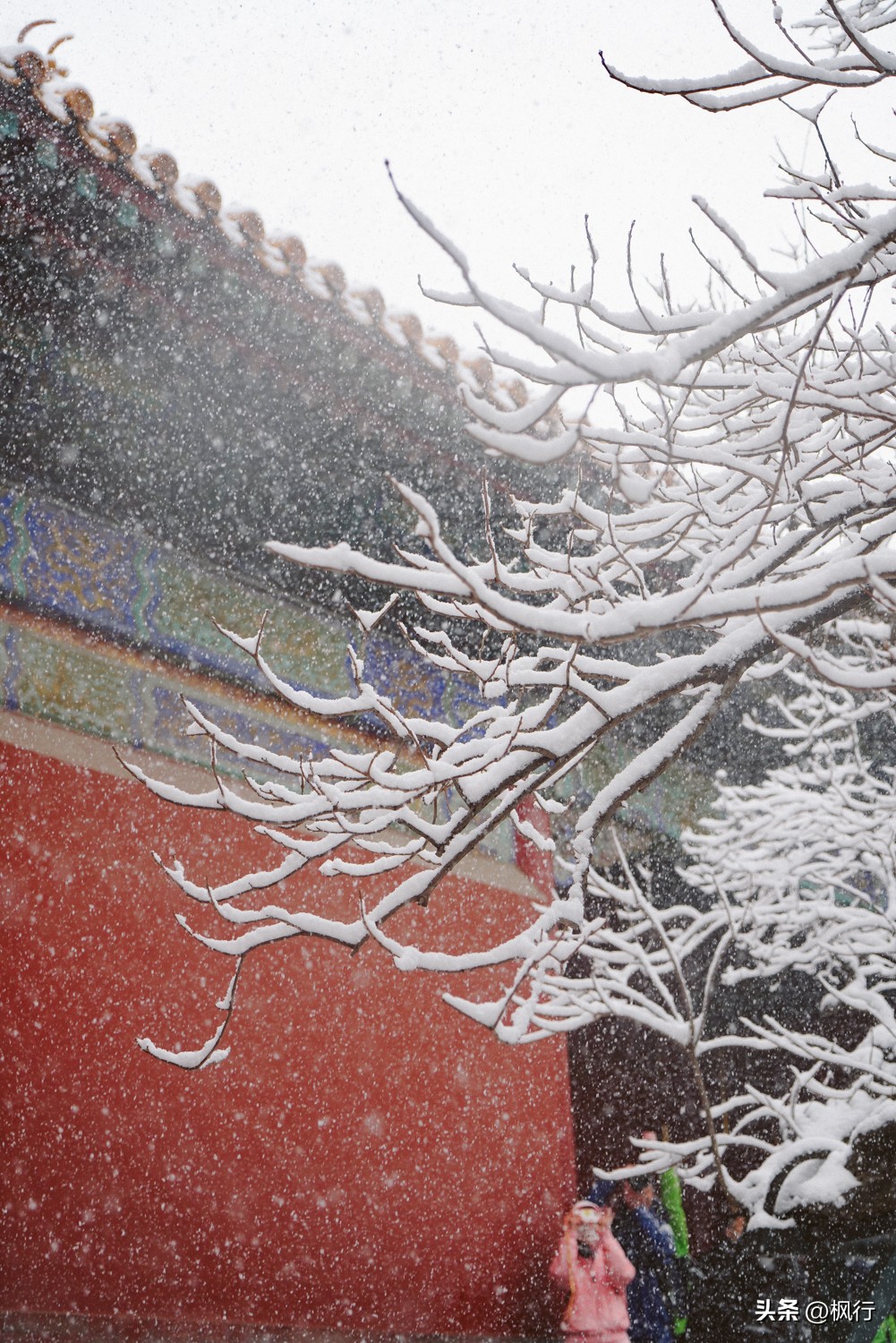 故宫开启雪景模式北京迎今冬初雪,北京下雪去哪里看故宫最好看