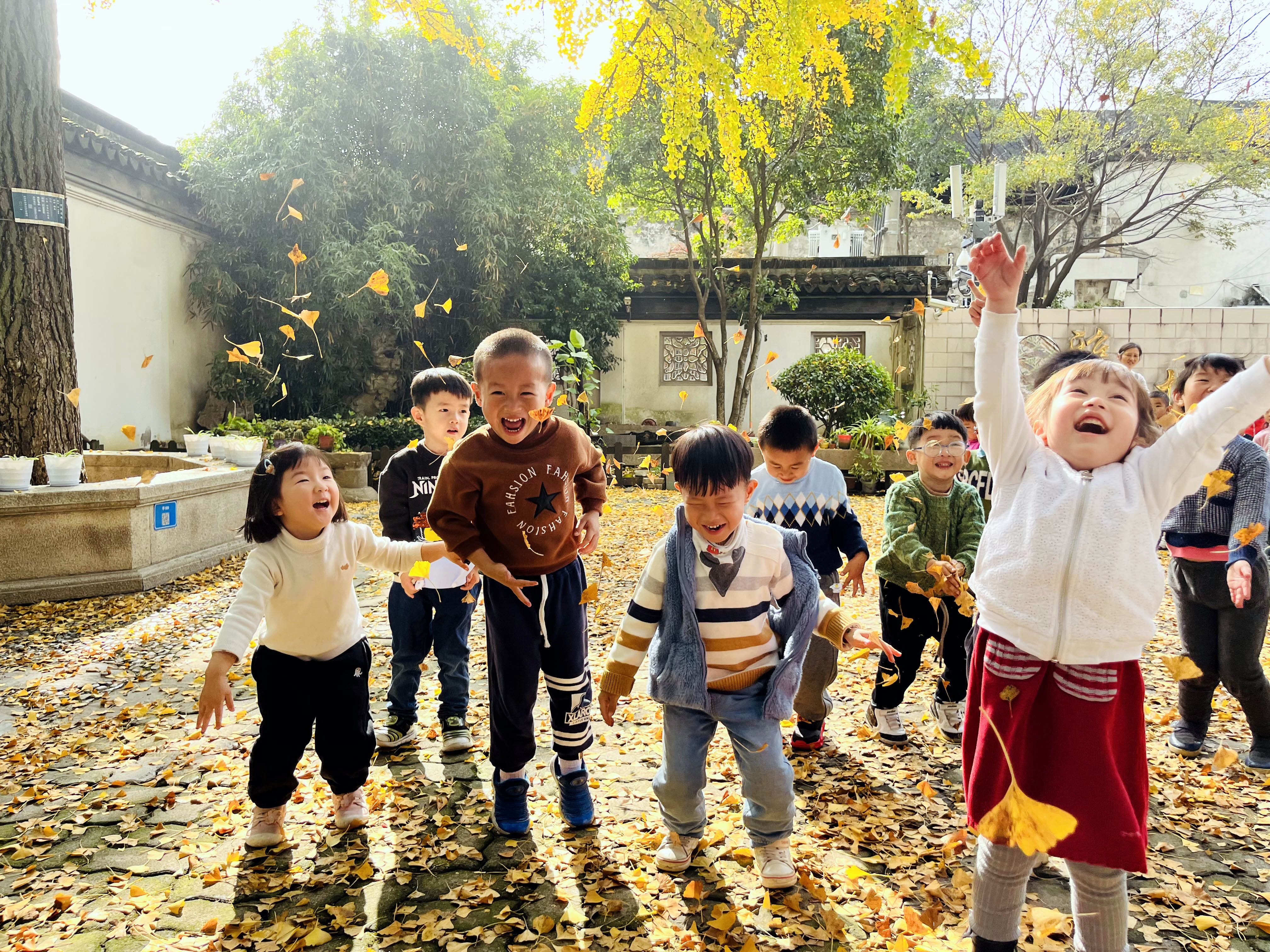 和孩子一起玩银杏叶,银杏叶和小朋友互动