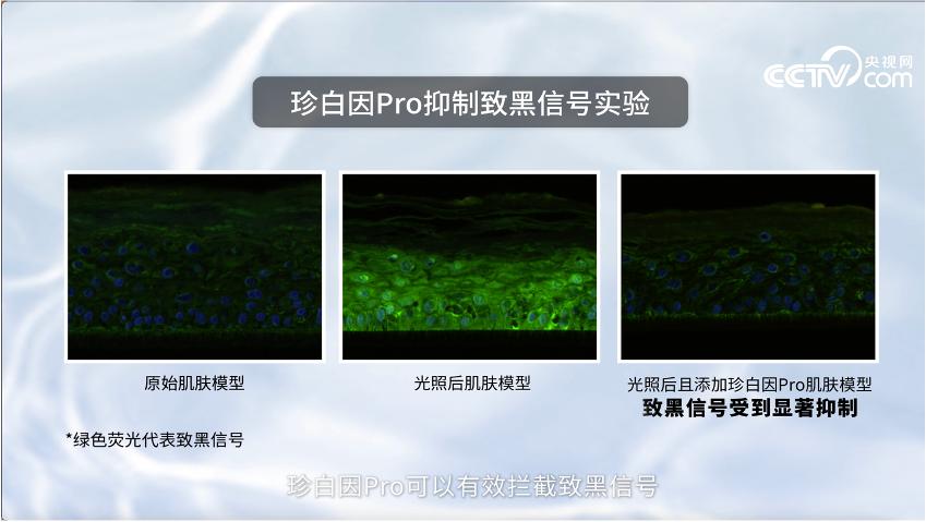 从此刻起，读懂“了不起的欧诗漫”