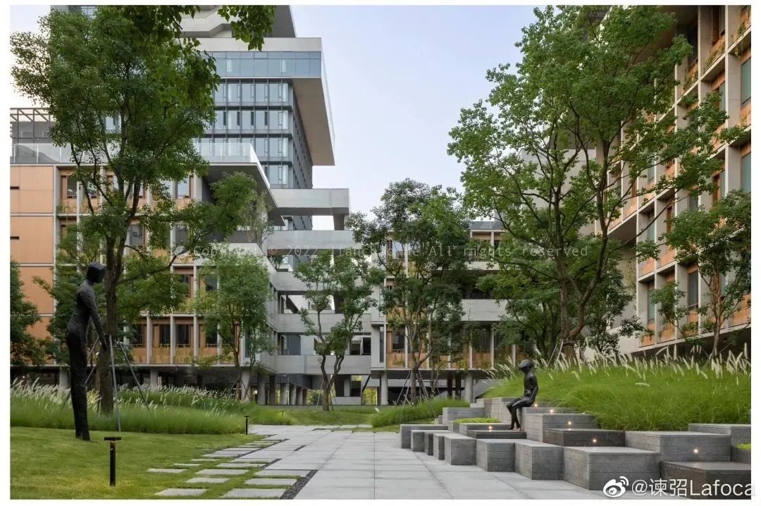 猫虎画,猫虎绘画