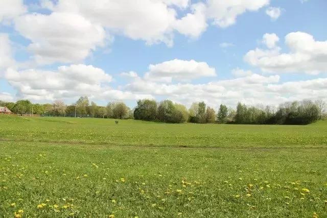 我是中医感悟分享,我自学中医的十年感受和经验